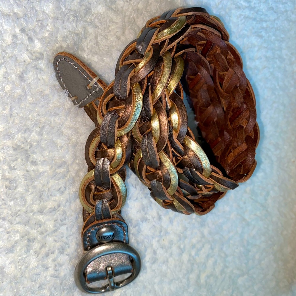 Fossil belt